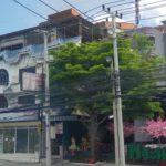 12 – Pattaya wire