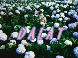 รีวิว ดาลัด (Da Lat) | ที่เที่ยว ที่กิน ที่พัก จัดให้ครบ จบใน 3 วัน 2 คืน | ไออุ้มรีวิว