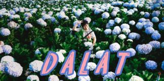 รีวิว ดาลัด (Da Lat) | ที่เที่ยว ที่กิน ที่พัก จัดให้ครบ จบใน 3 วัน 2 คืน | ไออุ้มรีวิว