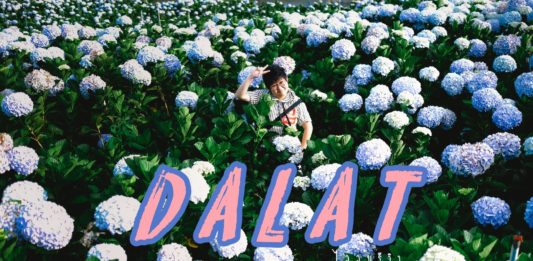 รีวิว ดาลัด (Da Lat) | ที่เที่ยว ที่กิน ที่พัก จัดให้ครบ จบใน 3 วัน 2 คืน | ไออุ้มรีวิว