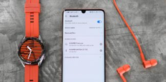 สวยมาก! HUAWEI P30 Pro Limited Edition สีพิเศษ Amber Sunrise พร้อม SmartWatch และหูฟัง ครบ ecosystems Huawei Ecossystems