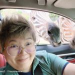 oppo reno 2 selfie