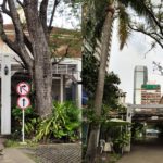 vivo-v17-pro-photo-set