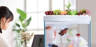 ตู้ปลาก็มา ! Xiaomi Geometry Control ตู้เลี้ยงปลายุคใหม่ สั่งให้อาหาร ปรับอุณหภูมิน้ำผ่านมือถือได้ Xiaomi Geometry Control