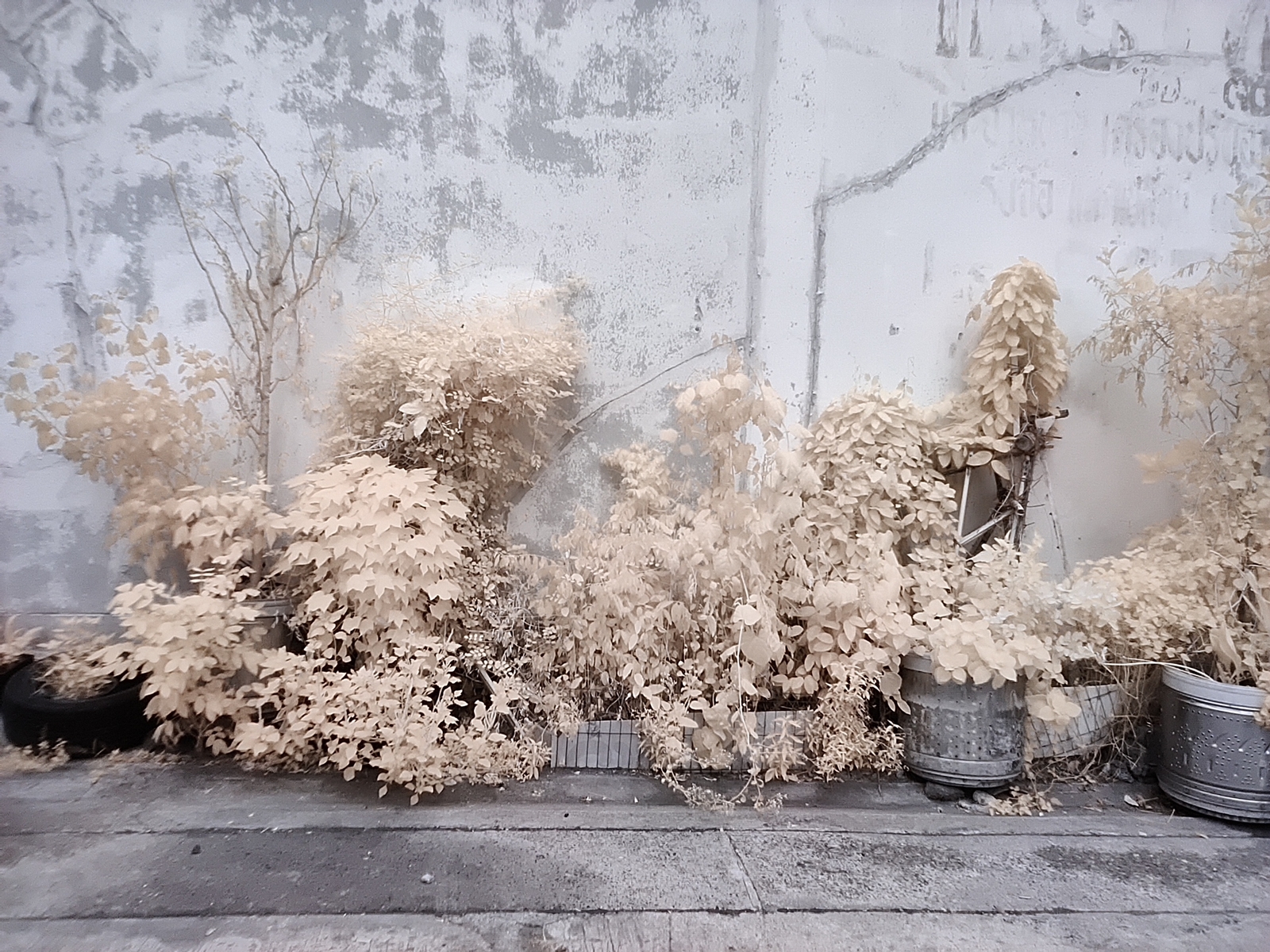 Color Filter Lens OnePlus 8Pro 01