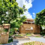 shot on OPPO RENO4 Wide Lens