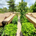 shot on OPPO RENO4 Wide