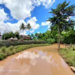 shot on OPPO RENO4 Wide