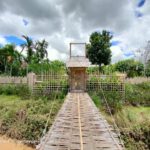 shot on OPPO RENO4 Wide