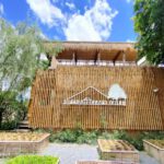 shot on OPPO RENO4 Wide