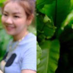 iPhone SE 2020 VS OnePlus Nord