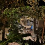 night shot 02