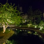 OPPO Find X3 Pro 5G RAW+