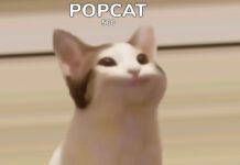 ปรากฏการณ์พลังชาวเน็ตไทย ประสานนิ้วจิ้มจอ POPCAT สู่อันดับ 1 POPCAT Leaderboard