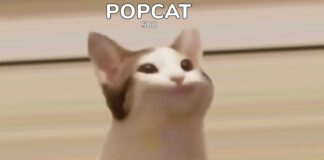 ปรากฏการณ์พลังชาวเน็ตไทย ประสานนิ้วจิ้มจอ POPCAT สู่อันดับ 1 POPCAT Leaderboard