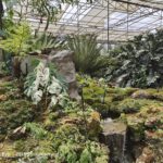 shot on vivo X80 Pro 001