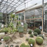 shot on vivo X80 Pro 003