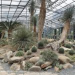 shot on vivo X80 Pro 004