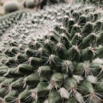 shot on vivo X80 Pro 006