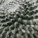 shot on vivo X80 Pro 008