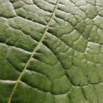 shot on vivo X80 Pro 009