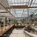 shot on vivo X80 Pro 010