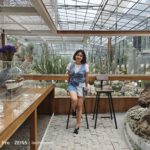 shot on vivo X80 Pro 012