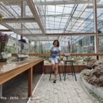 shot on vivo X80 Pro 013