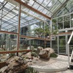 shot on vivo X80 Pro 015