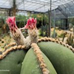 shot on vivo X80 Pro 022