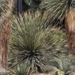 shot on vivo X80 Pro 023