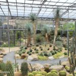 shot on vivo X80 Pro 024