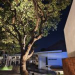 shot on vivo X80 Pro night 004