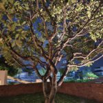 shot on vivo X80 Pro night 006