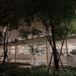 night shot on One Plus 10T 5G 002