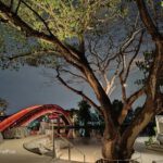 night shot on One Plus 10T 5G 007