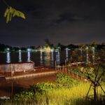 night shot on One Plus 10T 5G 013