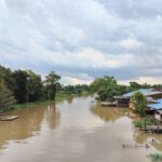 shot on One Plus 10T 5G 001