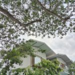 shot on One Plus 10T 5G 003